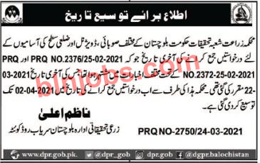 Balochistan Agriculture Research Department Jobs 2021