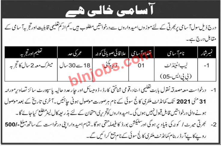 Lab Attendant Jobs in Military College Sui