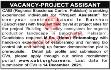 Project Assistant Jobs In Barkhan 2021