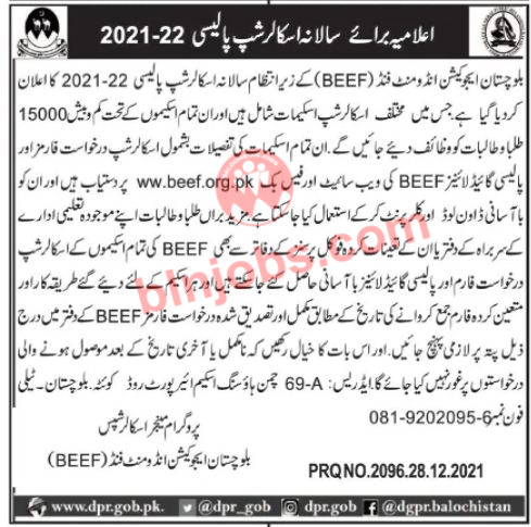 BEEF Scholarship 2022 Application Form