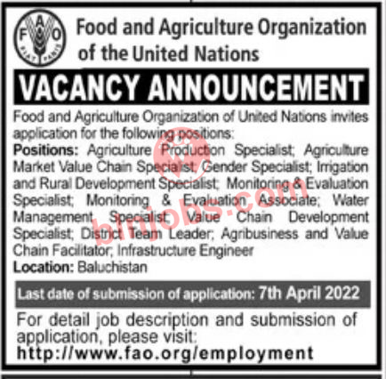 Food and Agriculture Organization FAO Balochistan Jobs 2022