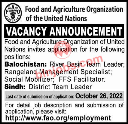 Food and Agriculture Organization FAO Balochistan Jobs 2022
