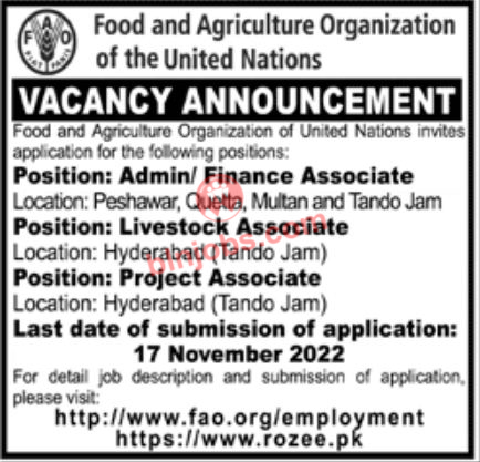 Food And Agriculture Organization FAO Quetta Jobs 2022