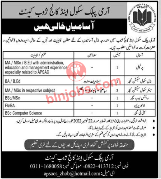 Army Public School and College Zhob Cantt Jobs 2022