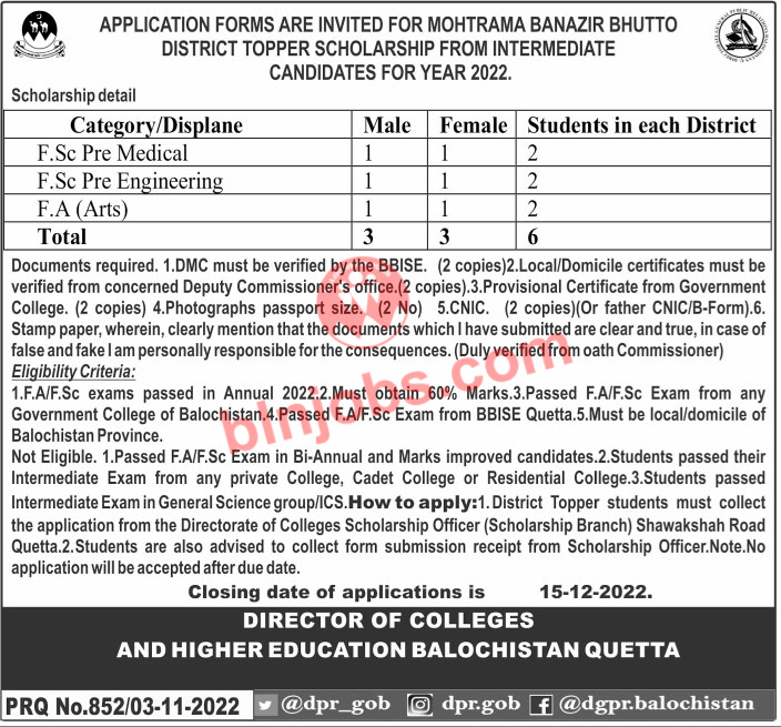 Benazir Bhutto Shaheed District Toppers Scholarship 2022
