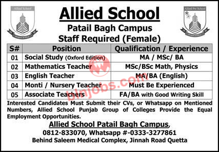 Allied School Patail Bagh Campus Jobs 2023