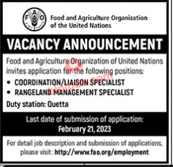 FAO Quetta Jobs 2023
