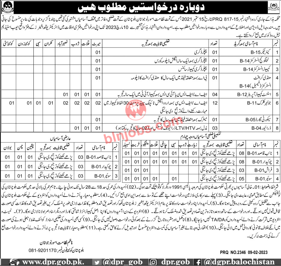 Directorate of Youth Affairs Balochistan Jobs 2023