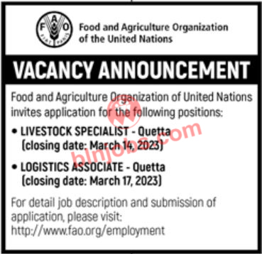 FAO Quetta Jobs 2023