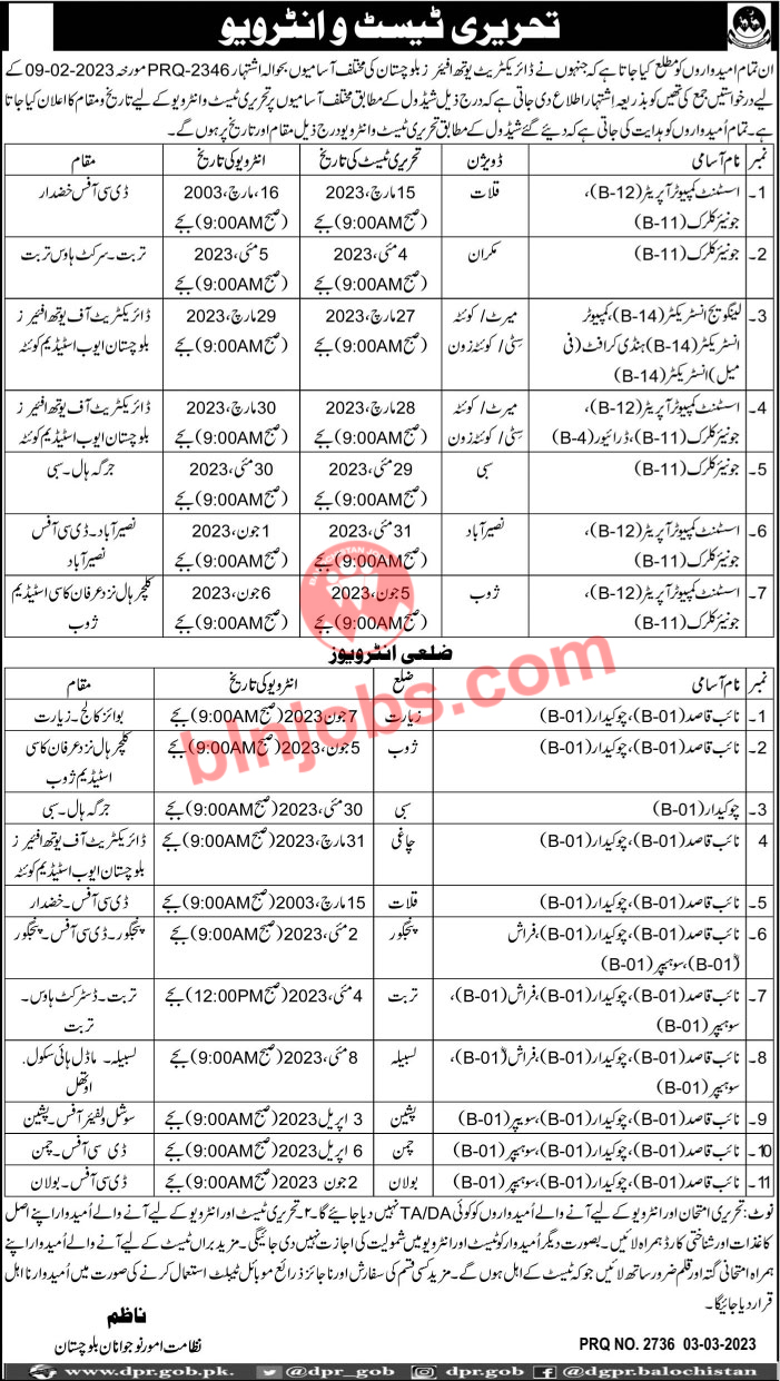 Directorate of Youth Affairs Balochistan Test Interview 2023