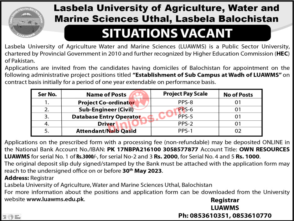 Lasbela University LUAWMS Uthal Jobs 2023
