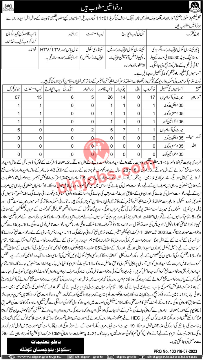 Schools Education Department Balochistan Awaran and Killa Saifullah Jobs 2023