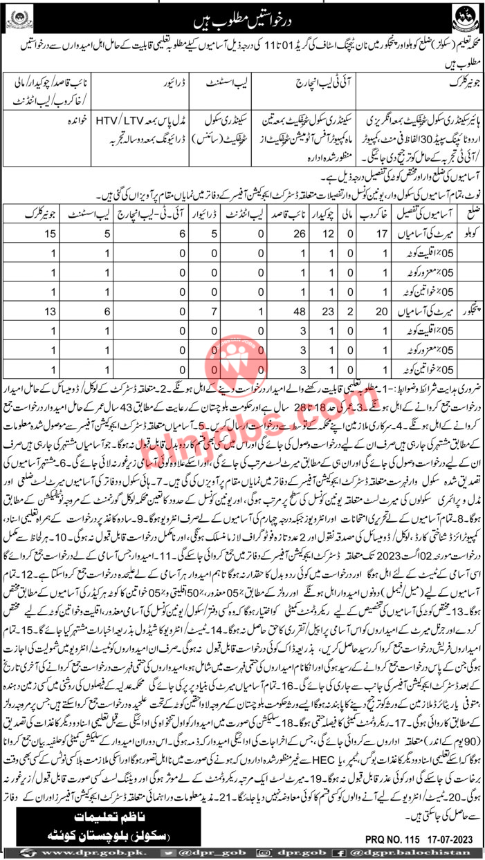 Schools Education Department Balochistan Panjgur and Kohlu Jobs 2023