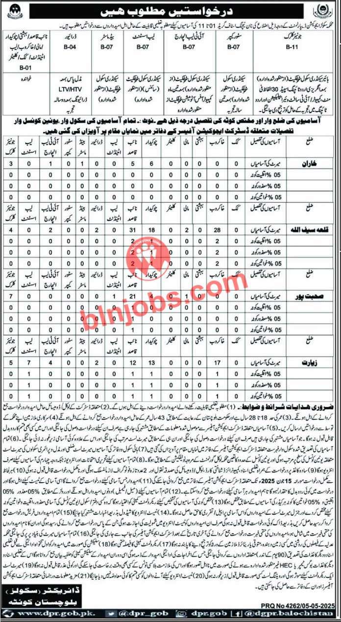 School Education Department Balochistan Jobs 2025