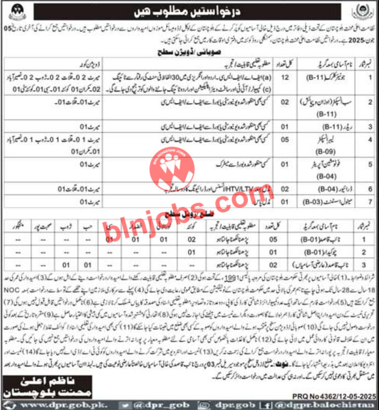 Labour Department Balochistan Jobs 2025