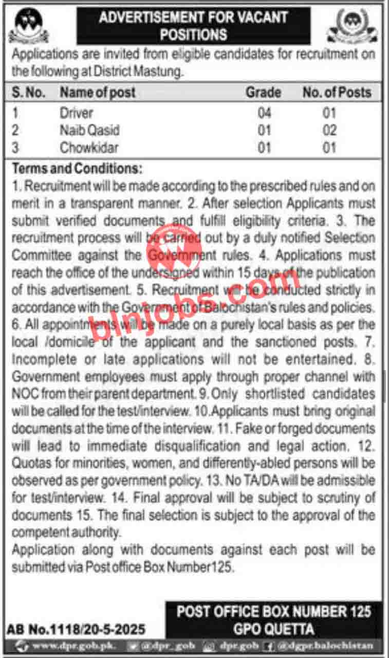 Public Sector Organization Mastung Jobs 2025