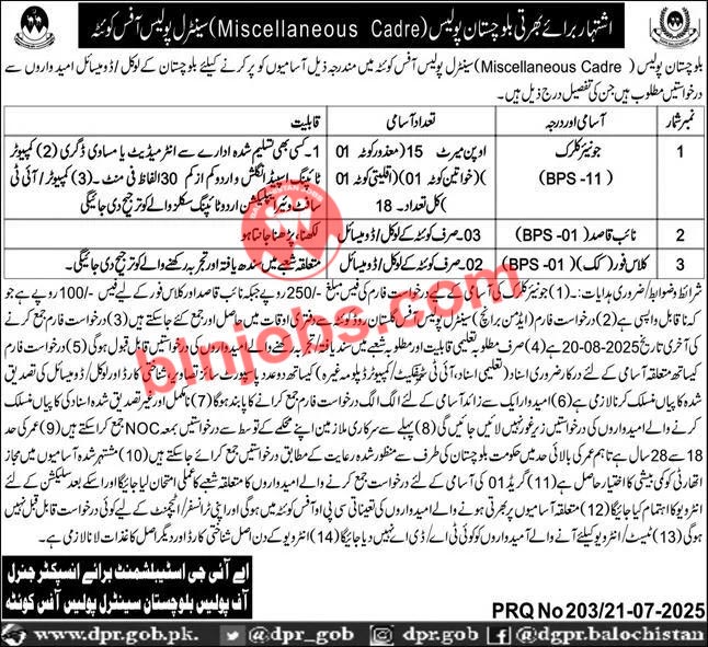 Balochistan Police Central Police Office Quetta Jobs 2025
