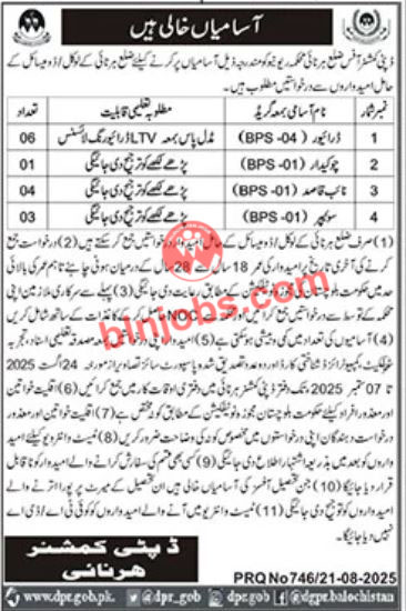 Deputy Commissioner DC Office Harnai Jobs 2025