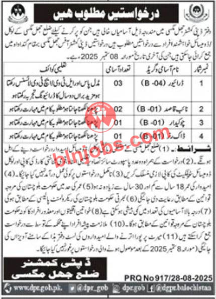 Deputy Commissioner DC Office Jhal Magsi Jobs 2025