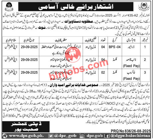 Deputy Commissioner DC Office Sohbatpur Jobs 2025