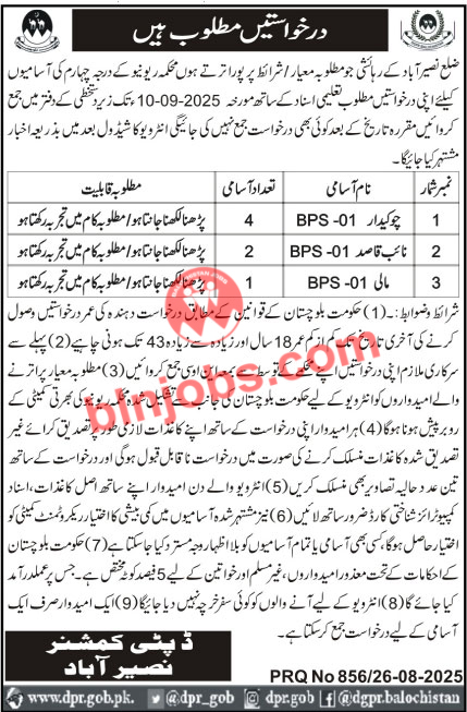 Deputy Commissioner DC Office Naseerabad Jobs 2025