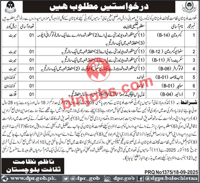 Directorate of Culture Balochistan Jobs 2025