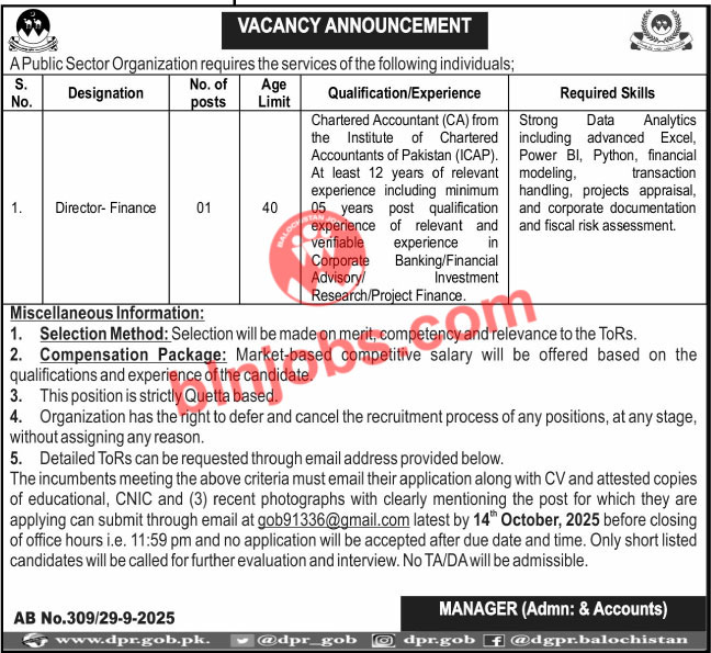 Public Sector Organization Director Jobs 2025