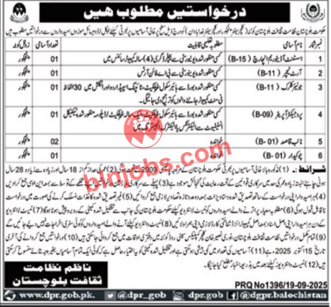 Directorate Of Culture Panjgur Jobs 2025