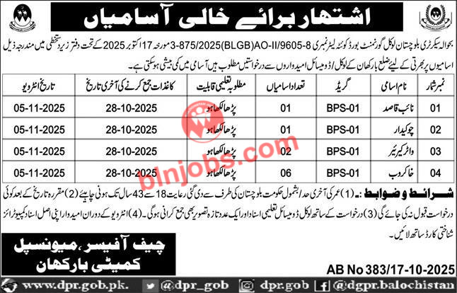 Municipal Committee MC Barkhan Jobs 2025
