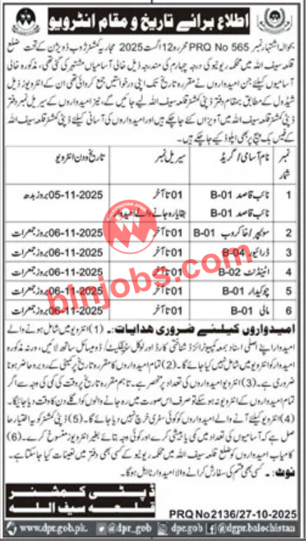 Deputy Commissioner Killa Saifullah Interviews 2025