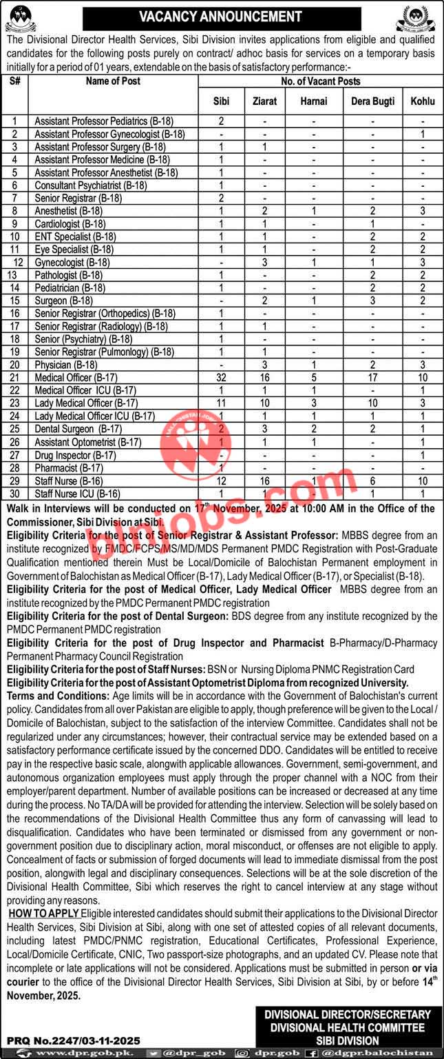 Health Department Sibi Division Jobs 2025